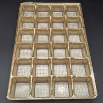  Disposable Food Tray